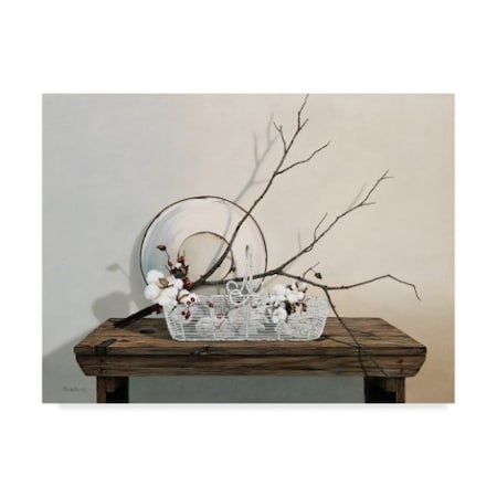 Cecile Baird 'Wire Basket With Cotton' Canvas Art,35x47